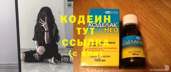 индика Няндома