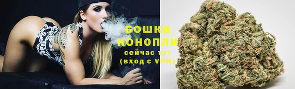шишки Белоозёрский