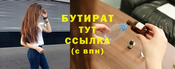 индика Няндома