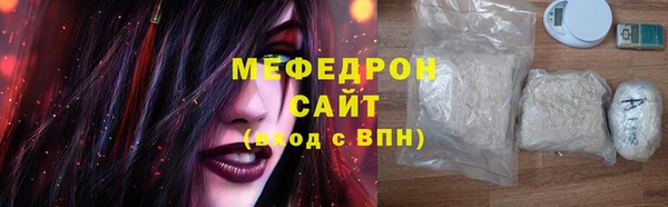 индика Няндома