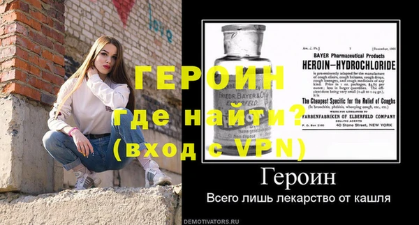 индика Няндома