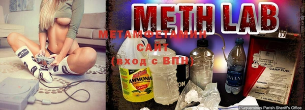 индика Няндома