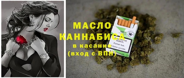 индика Няндома