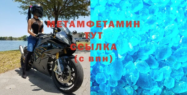 индика Няндома