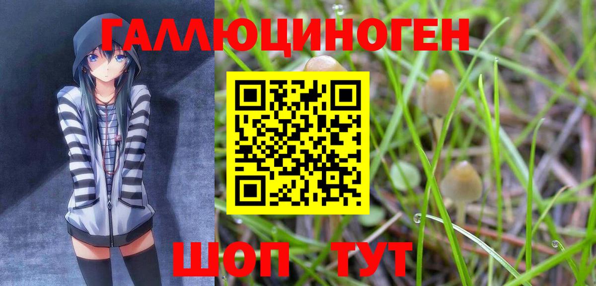 Псилоцибиновые грибы Psilocybe  купить наркотики цена  Галлюциногенные грибы Psilocybine cubensis  Нерюнгри  Вход с VPN 