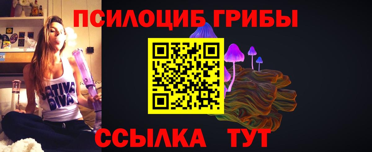 Нерюнгри  Галлюциногенные грибы GOLDEN TEACHER  Вход с VPN 